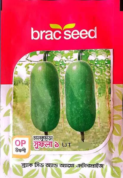 উফশী চালকুমড়া সুফলা-১ (Wax gourd Sufola-1)