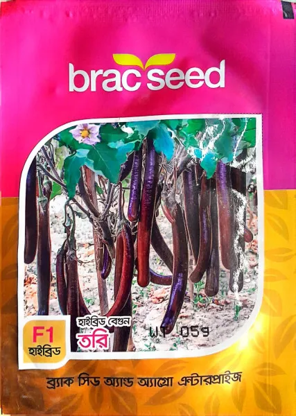 ব্র্যাক সীড হাইব্রিড বেগুন: তরি (Brac Seed Hybrid Eggplant: Tori)