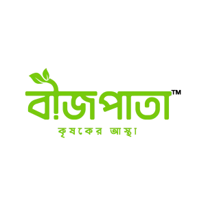 বীজপাতা